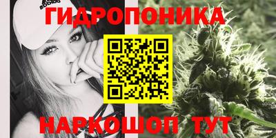 МДПВ Рыбинск